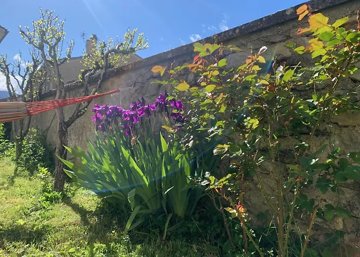 Maison D' Hôtes L'écurie De Luzerand Bed & Breakfast 3*